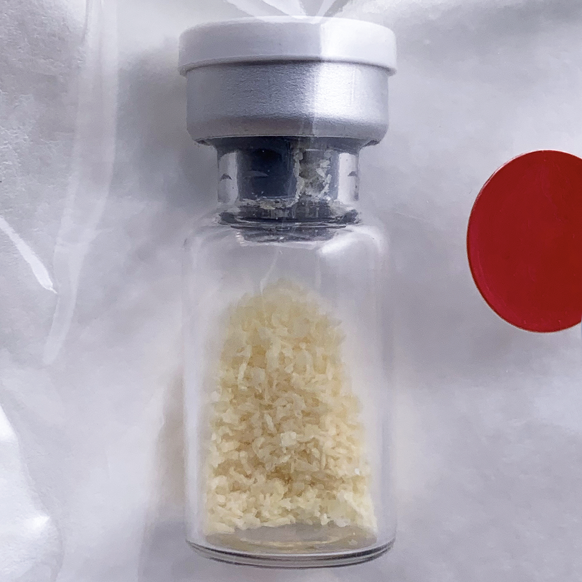 Ceno Bone Grafting Material - Image 4