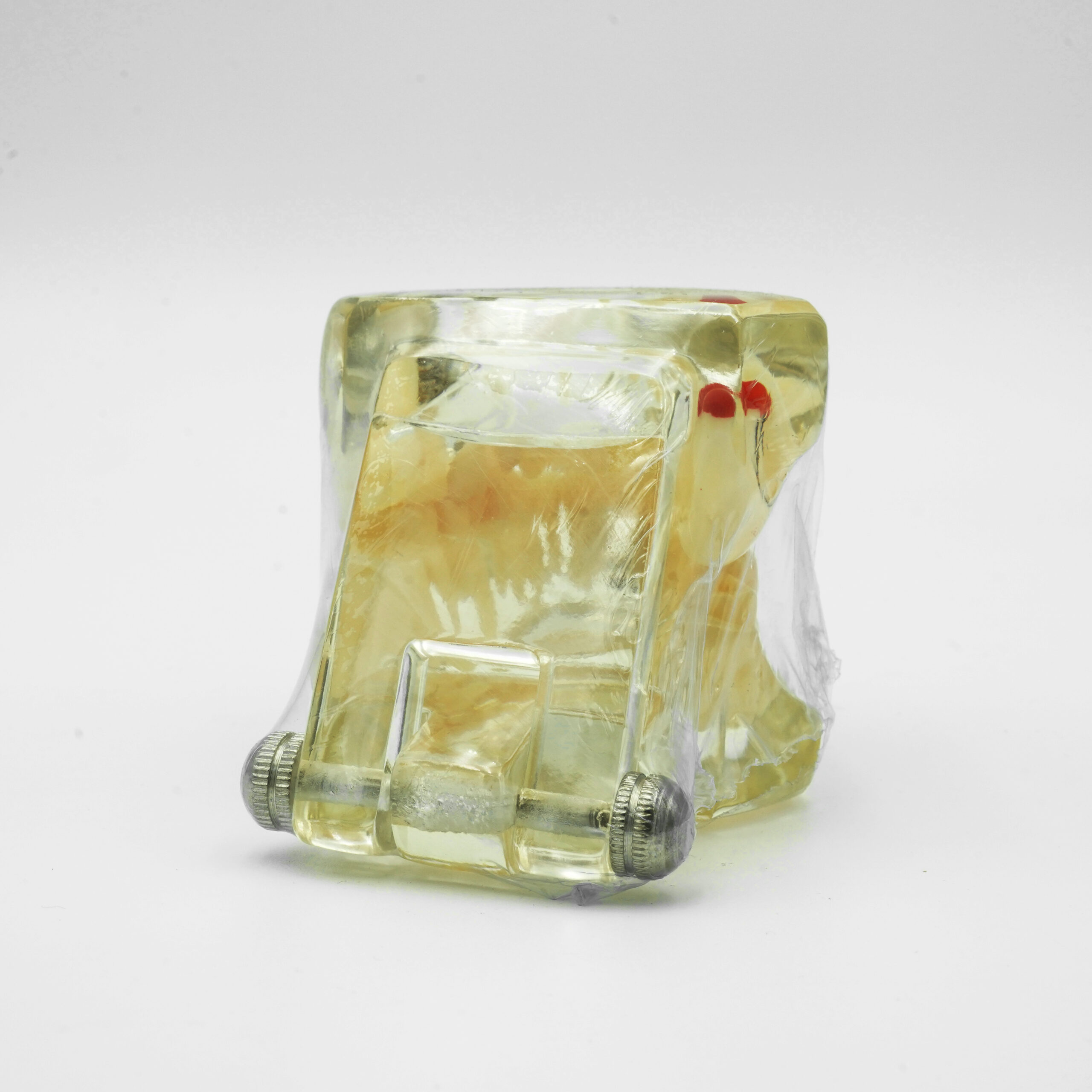 Implant Model - Image 3