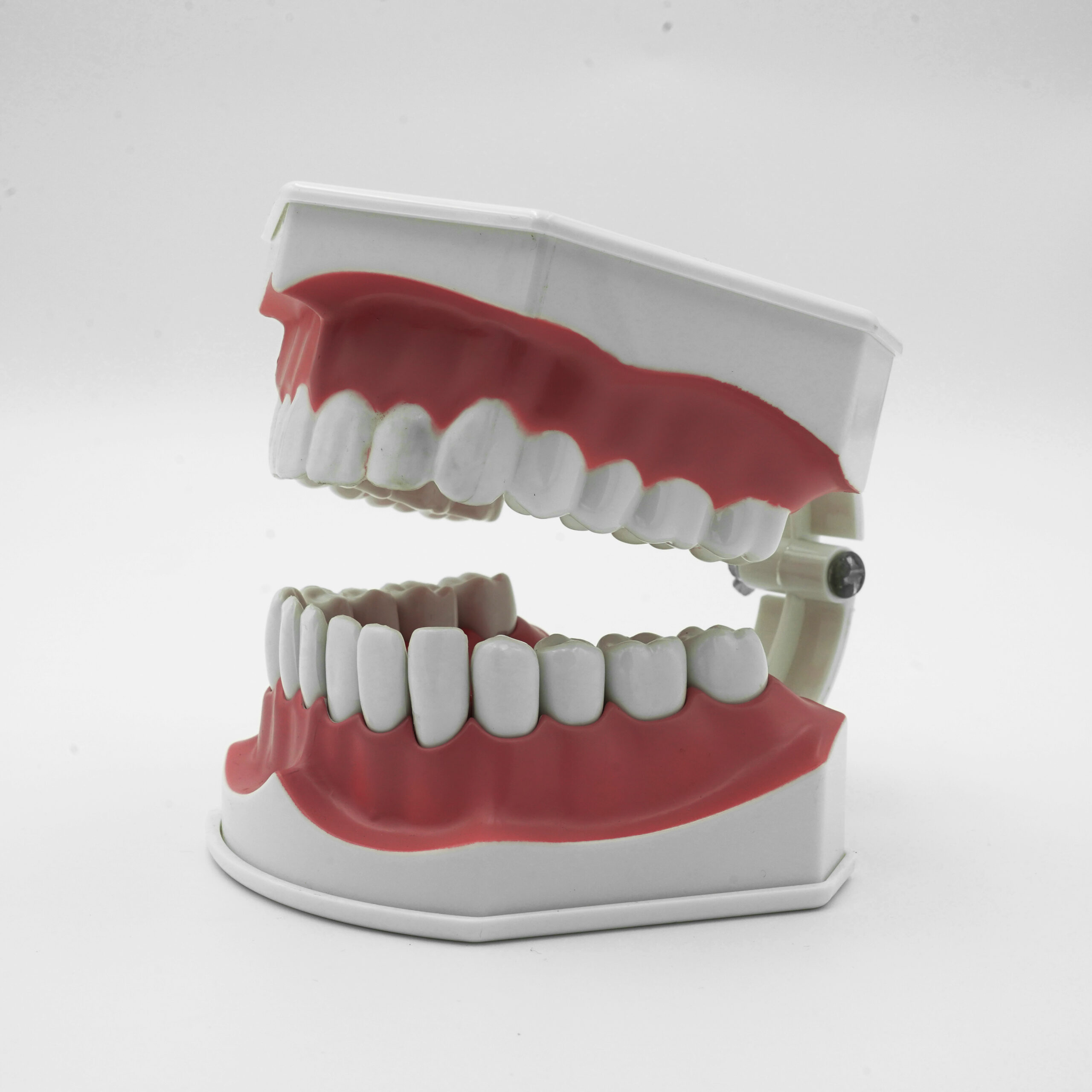 Large Brush Demo Model - Image 4