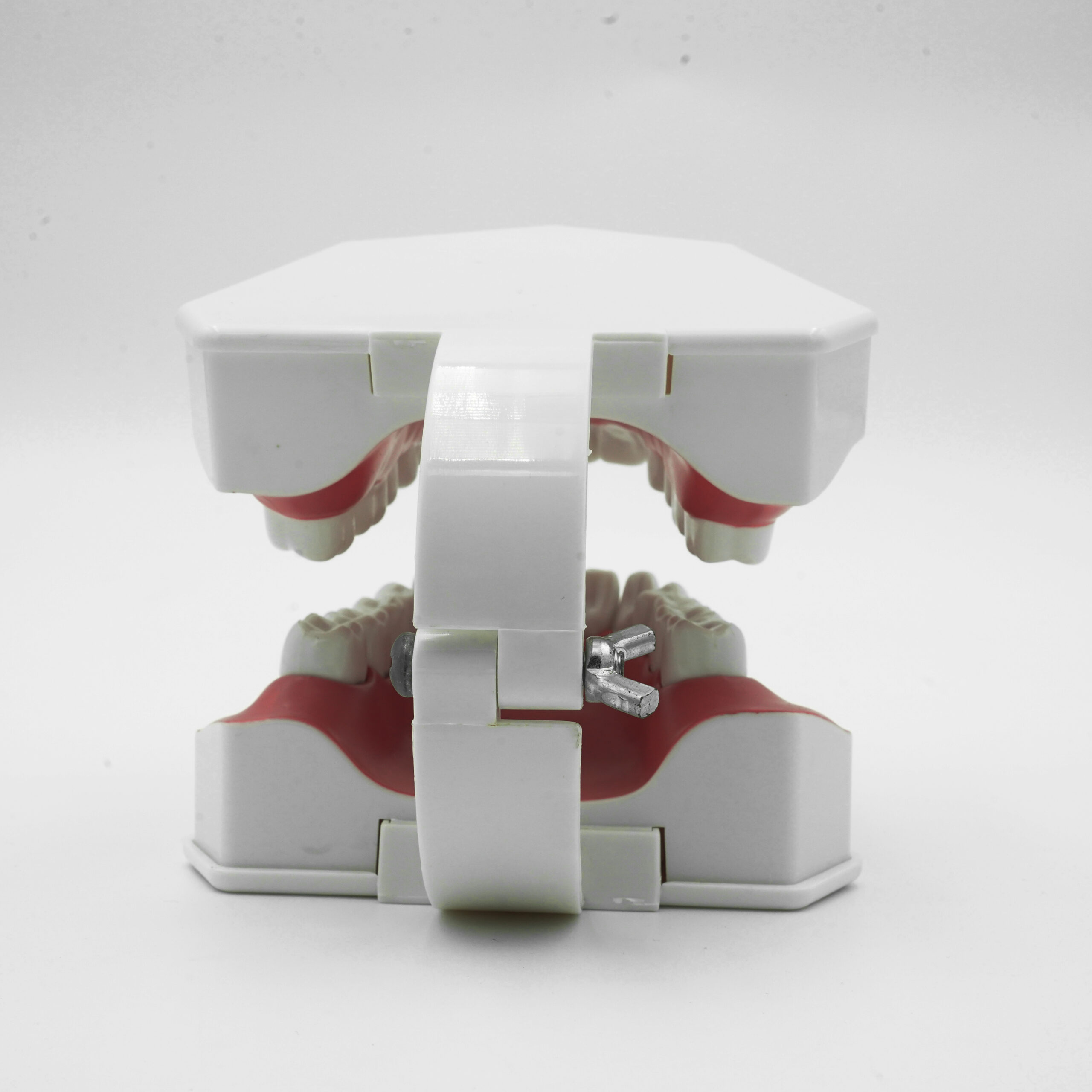 Large Brush Demo Model - Image 3