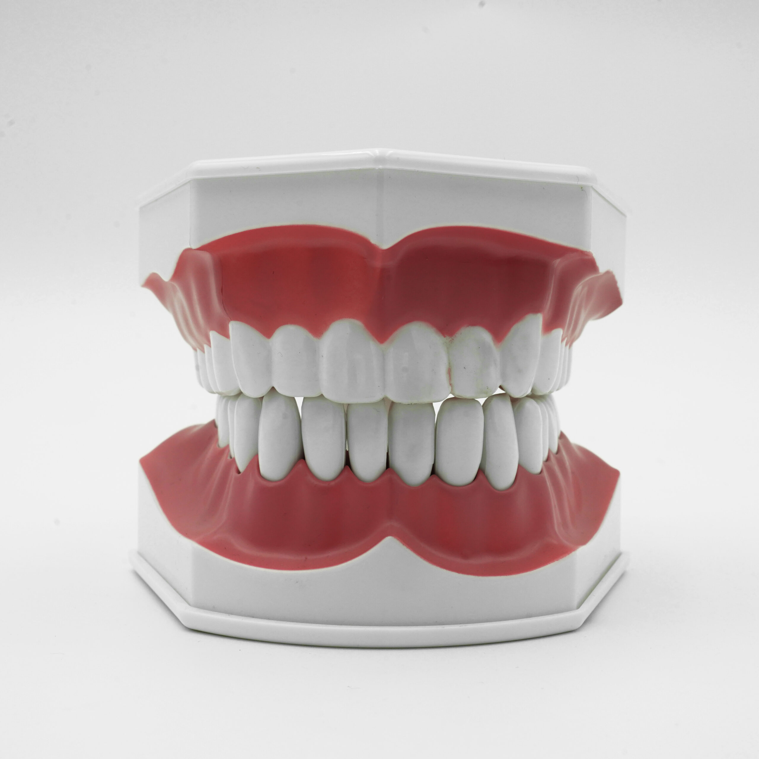 Large Brush Demo Model