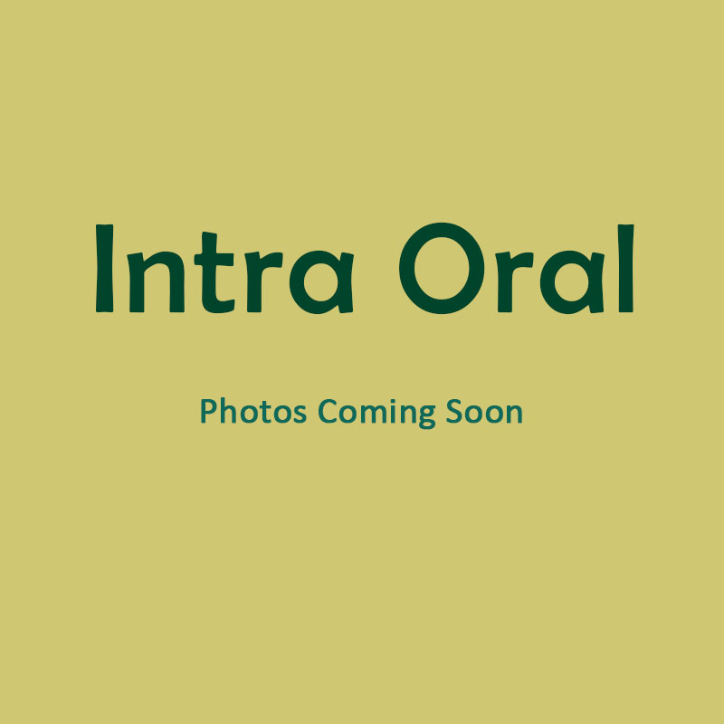 Intra Oral LED Camera by Rixi