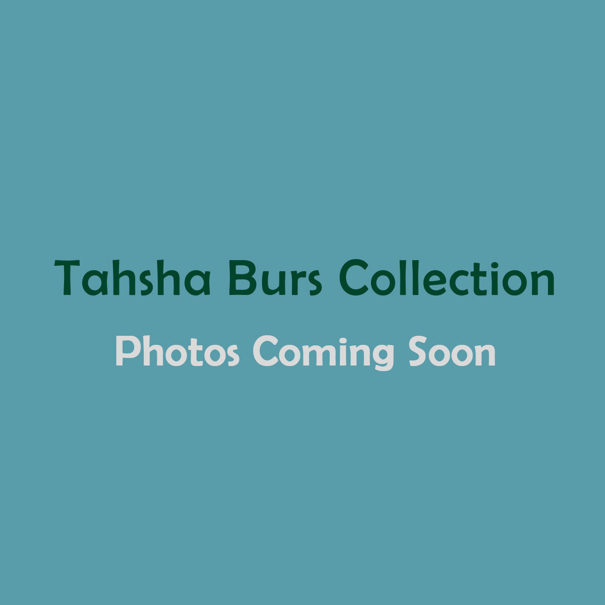 Burs Collection by Tahsha