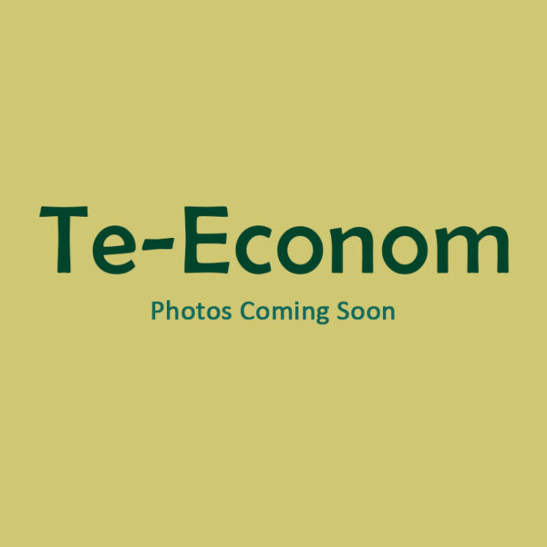 Te-Econom Plus by Ivoclar